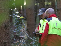 Zwei Männer prüfen den Baumbestand im Wald mit einem Tablet
