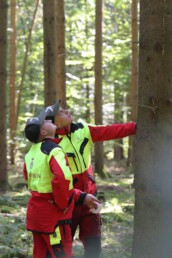 Zwei junge Forstwirte begutachten einen Baum im Wald