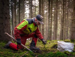 Forstwirt in Fürst Wallerstein Arbeitskleidung pflanzt einen Tannensetzling