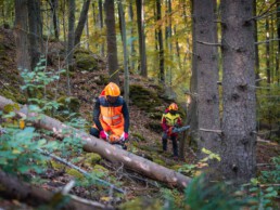 Zwei Forstwirte in Fürst Wallerstein Arbeitskleidung bearbeiten gefällte Bäume